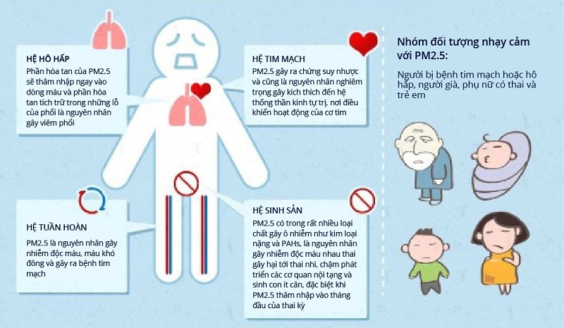 ảnh hưởng bụi mịn PM2.5 tới sức khỏe con người