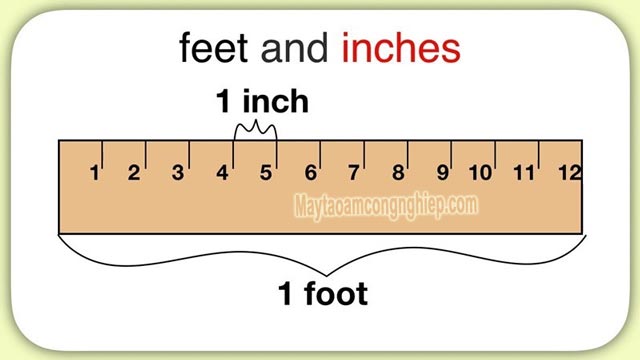 1 inch bằng bao nhiêu feet