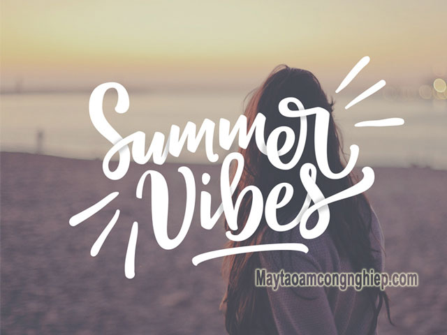 Summer vibe nghĩa là gì?