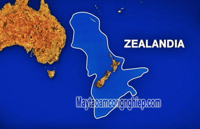 New Zealand thuộc châu nào? Điều thú vị chỉ có tại New Zealand