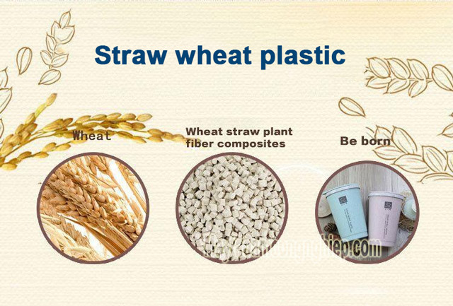 straw wheat plastic là gì