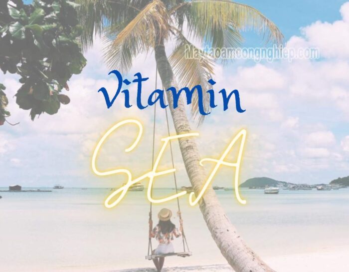 Vitamin sea là gì? Thèm Vitamin sea nên đến địa điểm nào?