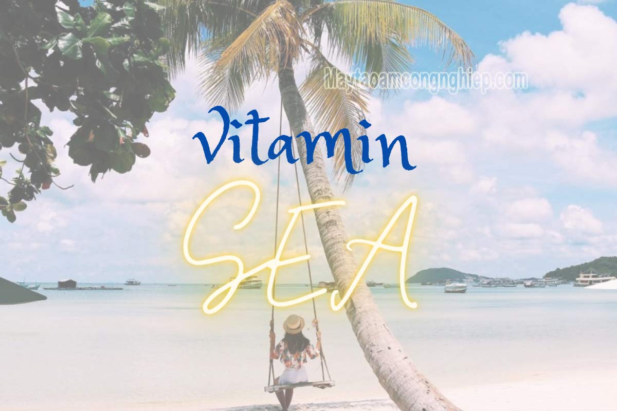 Vitamin sea là gì? Thèm Vitamin sea nên đến địa điểm nào?