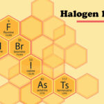 Halogen là gì? Cấu tạo, tính chất, ứng dụng của Halogen