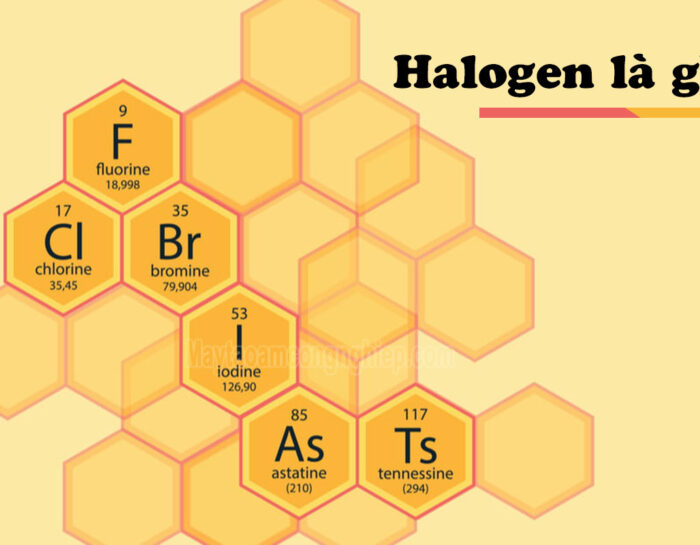Halogen là gì? Cấu tạo, tính chất, ứng dụng của Halogen