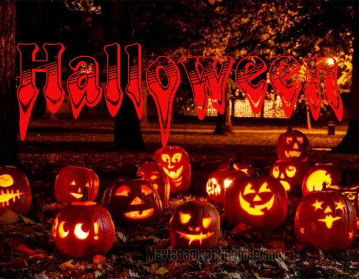 Ngày Halloween là ngày bao nhiêu? Nguồn gốc, ý nghĩa và những điều cần tránh trong ngày Halloween