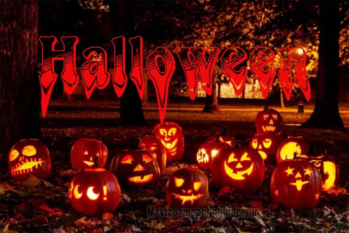 Ngày Halloween là ngày bao nhiêu? Nguồn gốc, ý nghĩa và những điều cần tránh trong ngày Halloween