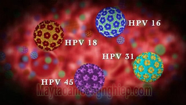 Vắc xin HPV có khả năng chống được nhiều chủng bệnh