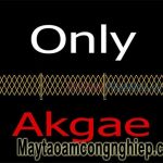 Akgae là gì? Từ A – Z về các kiểu fan phổ biến trong Kpop