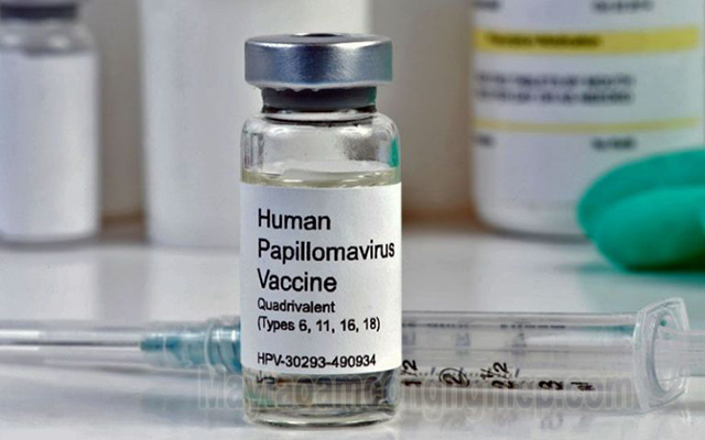 có 4 chủng Vắc xin HPV