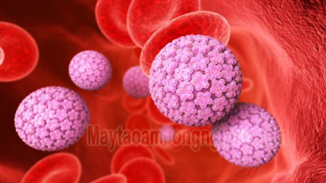 Virus HPV hình ảnh 