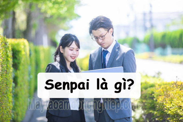 Senpai là gì? Văn hóa thứ bậc trong mối quan hệ của người Nhật Bản