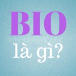 Bio là gì? Cách thiết lập link bio trên nền tảng TikTok