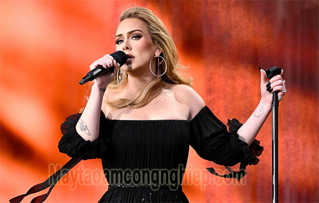 Ca sĩ Adele