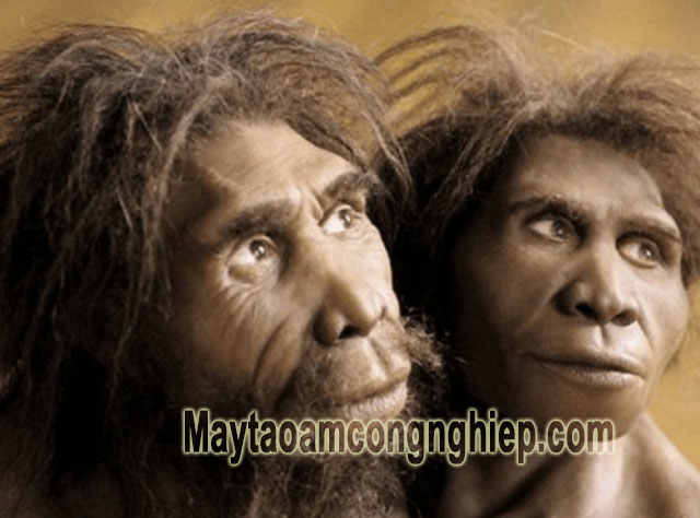 Người khéo léo Homo habilis biết chế tạo và sử dụng công cụ bằng đá