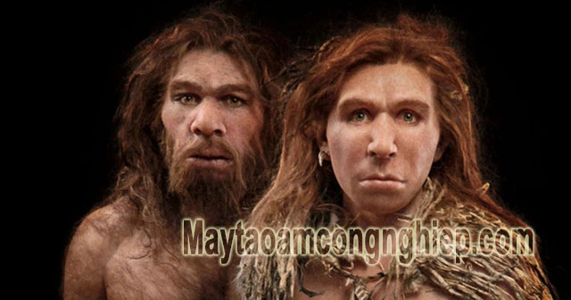 Homo neanderthalensis – Người Neanderthal, Neandertal