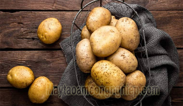 Trong khoai tây chứa nhiều tinh bột khoáng